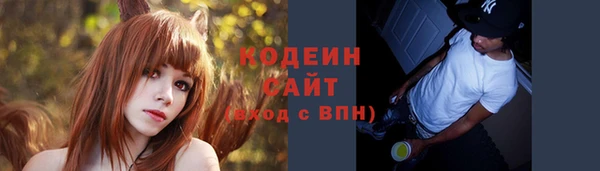 молекула духа Михайловск